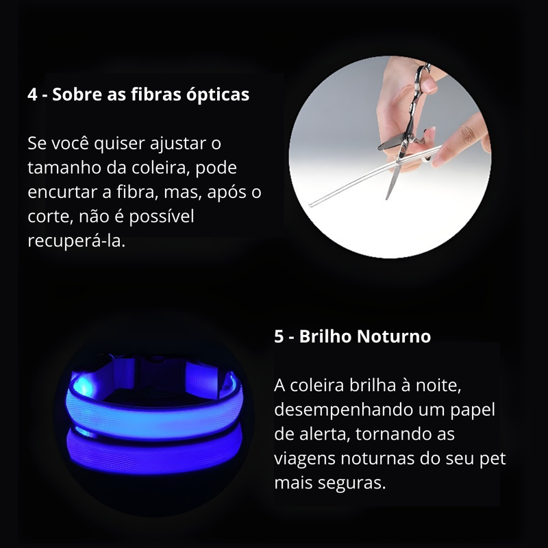 Coleira de Segurança LED para Cães – Brilho Fluorescente Noturno