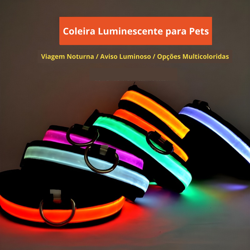 Coleira de Segurança LED para Cães – Brilho Fluorescente Noturno