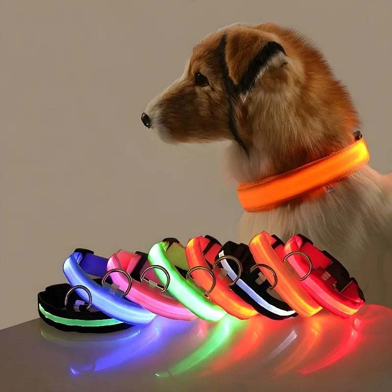 Coleira de Segurança LED para Cães – Brilho Fluorescente Noturno