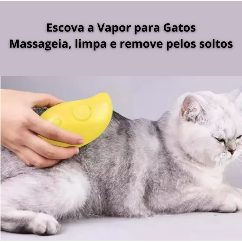 Escova a Vapor para Gatos